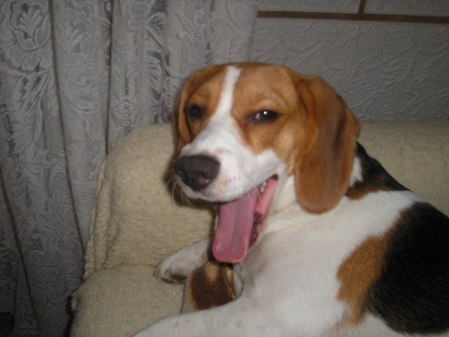 2 002.jpg