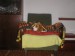 fotky 004.jpg